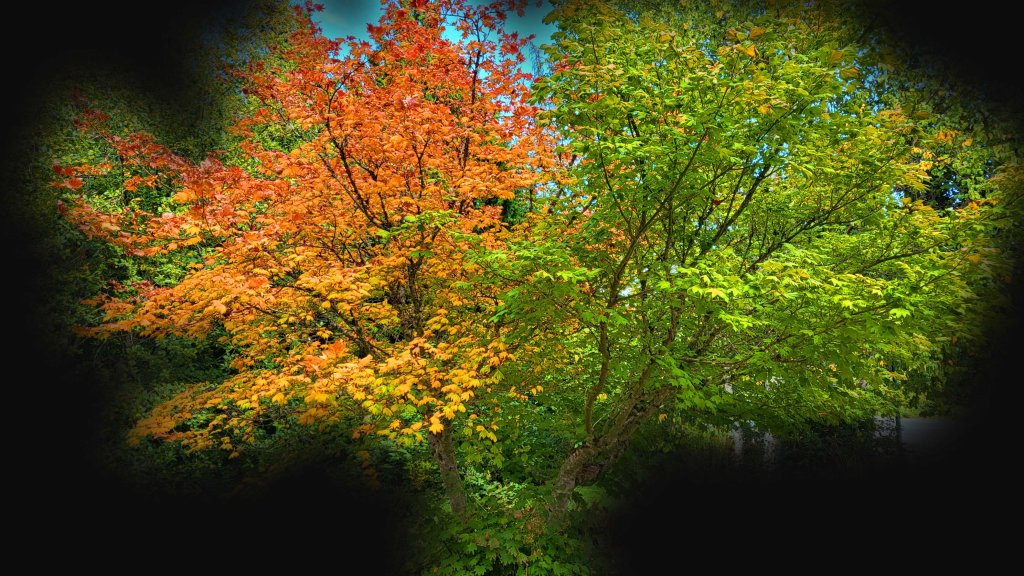 Horoscopes by Tamu Miles