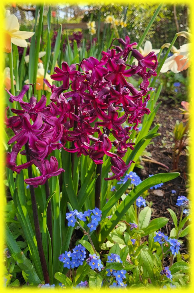 Monthly horoscopes by Tamu Miles.