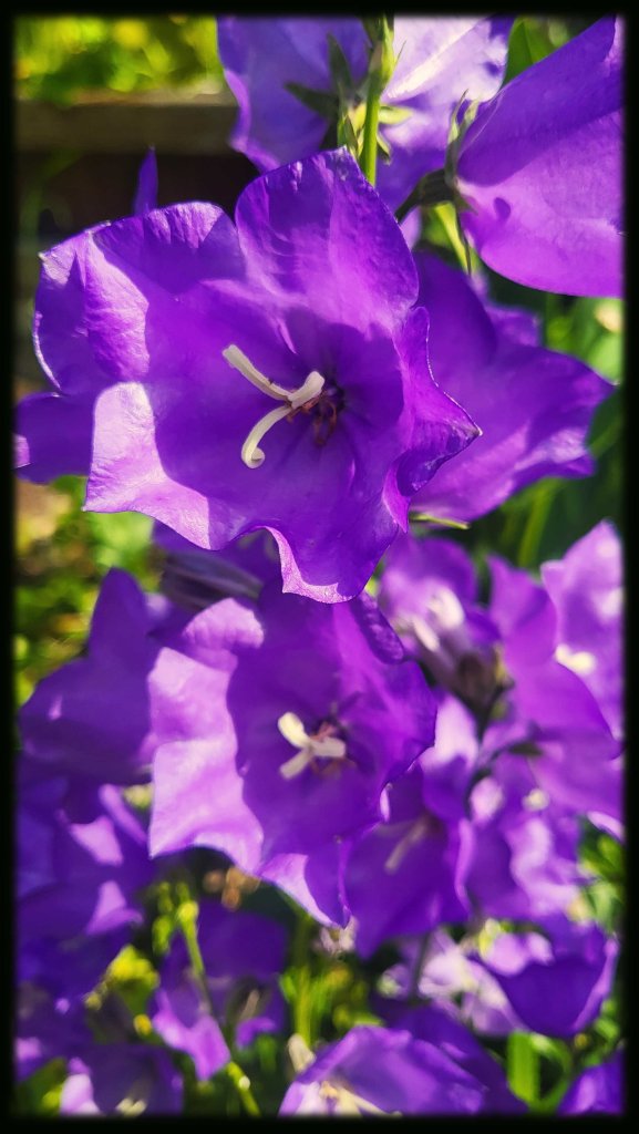 Horoscopes that focus on the deep questions that ripple out from the soul and into our everyday lives.