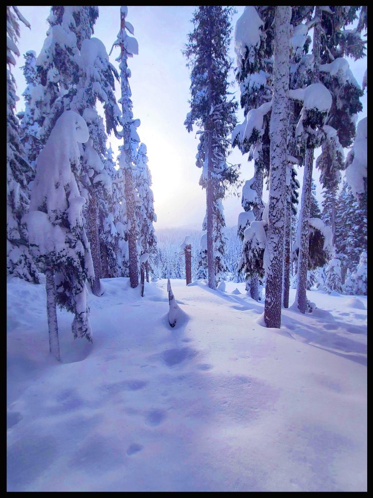 Navigating the Stars offers monthly horoscopes to astrology lovers around the world.