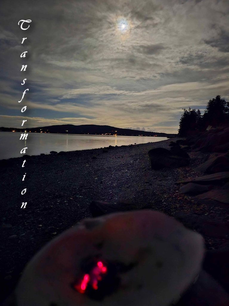 Horoscopes for March 2026 from Navigating the Stars.